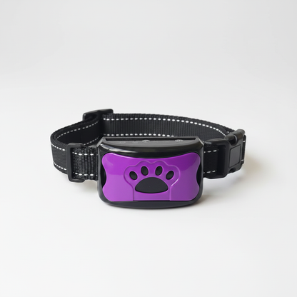 Collier mauve corrigé