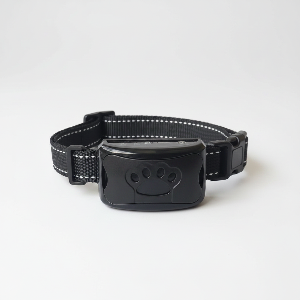 Collier noir